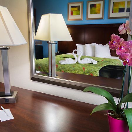 Ramada By Wyndham Flamingo Water Park Hotel Kissimmee Eksteriør billede