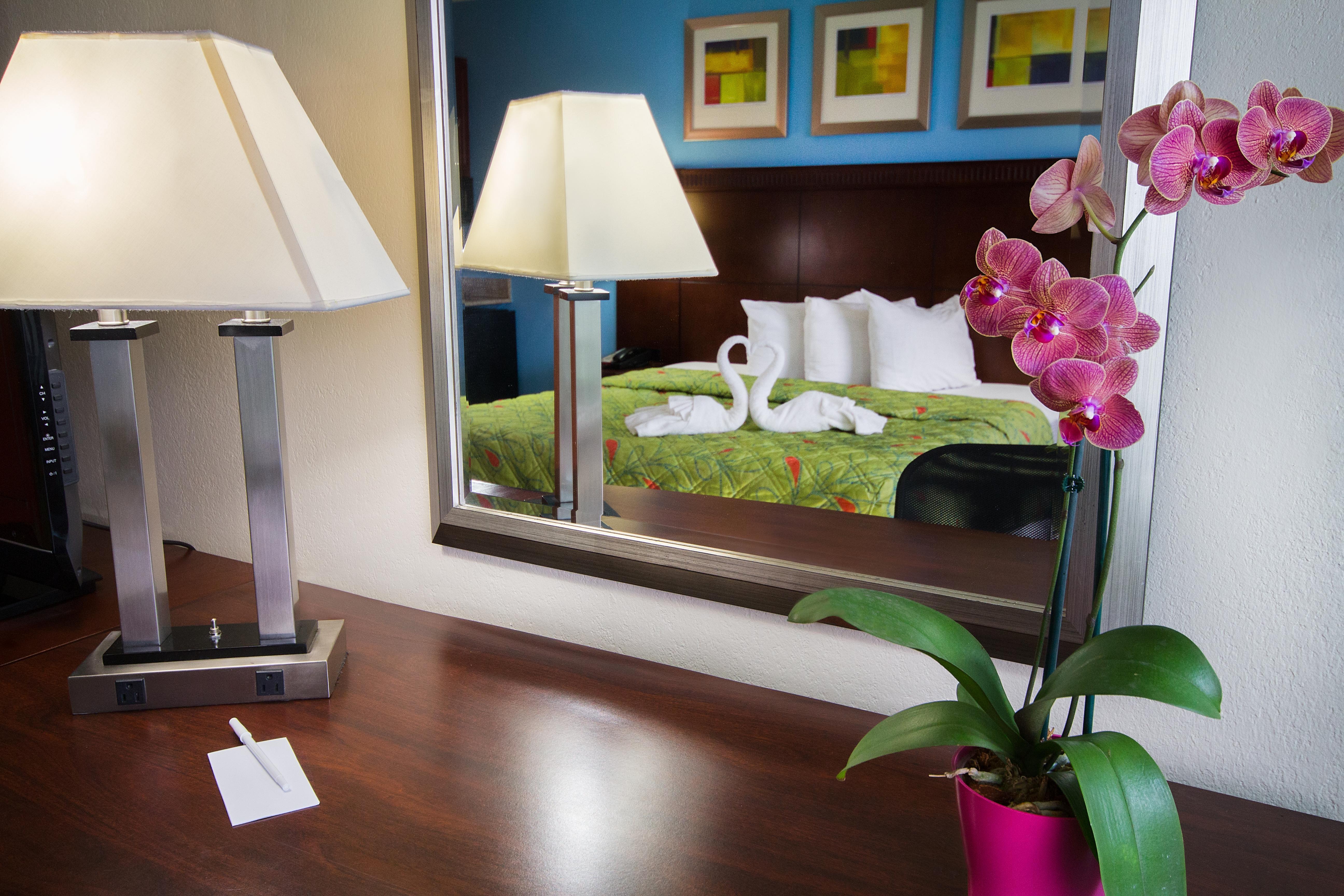 Ramada By Wyndham Flamingo Water Park Hotel Kissimmee Eksteriør billede